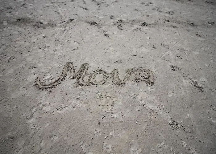 Deichstrasse 15 W A 13 * نورديش